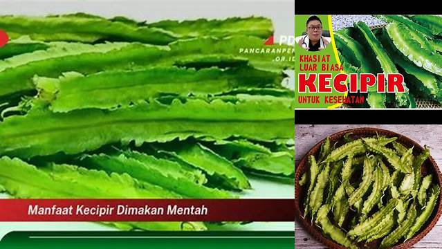 Terungkap Khasiat Kecipir Mentah yang Jarang Diketahui