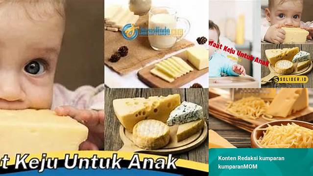 Temukan Manfaat Keju untuk Anak yang Jarang Diketahui!