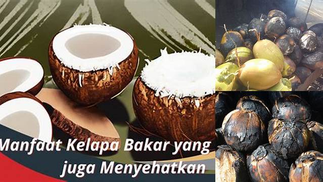 Manfaat Kelapa Bakar: Temukan Khasiat Jarang Diketahui yang Mencengangkan!