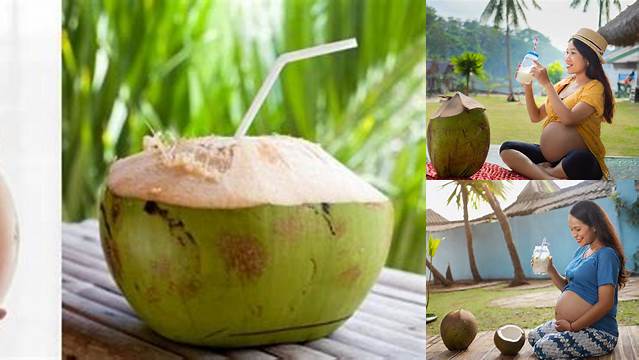 Manfaat Kelapa Hijau untuk Ibu Hamil yang Jarang Diketahui