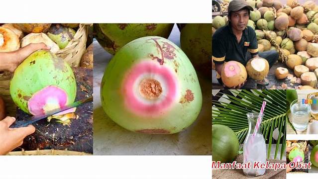 Temukan Manfaat Kelapa Obat yang Jarang Diketahui