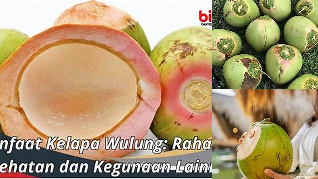 10 Manfaat Langka Kelapa Wulung yang Jarang Diketahui