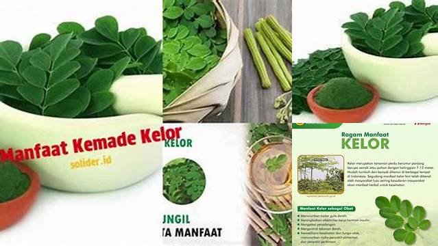 Temukan 7 Manfaat Kemade Kelor yang Tak Terduga