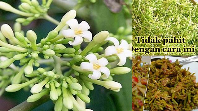 Temukan 7 Manfaat Kembang Kates untuk Kesehatan