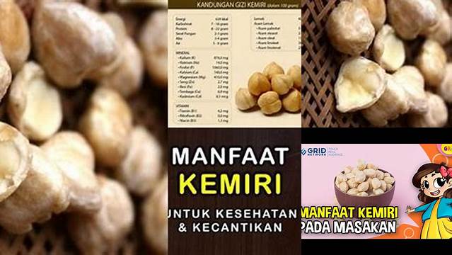 Temukan Manfaat Mengejutkan Kemiri dalam Masakan
