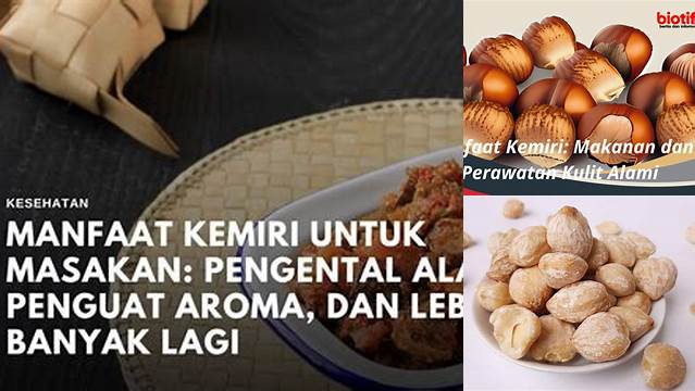 Temukan Manfaat Kemiri dalam Masakan yang Jarang Diketahui