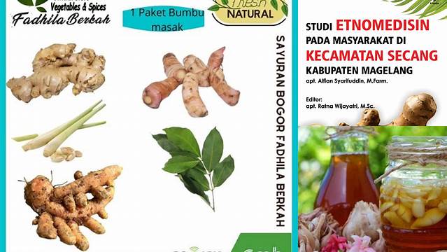 Temukan Manfaat Kencur dan Bawang Putih yang Jarang Diketahui