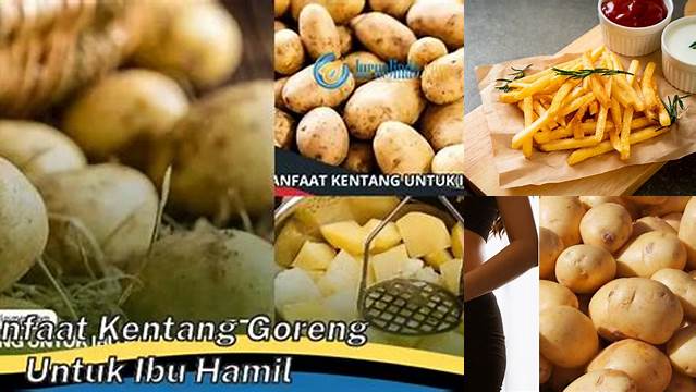 Temukan Manfaat Kentang Goreng untuk Ibu Hamil yang Jarang Diketahui