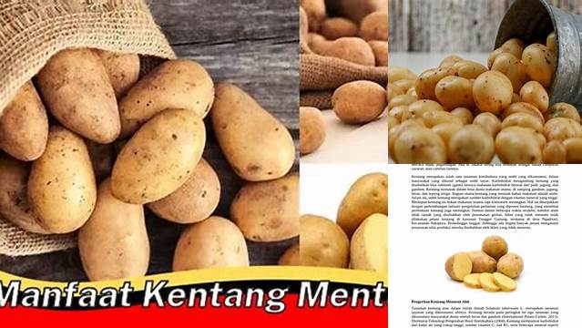 Temukan Khasiat Kentang Mentah yang Jarang Diketahui