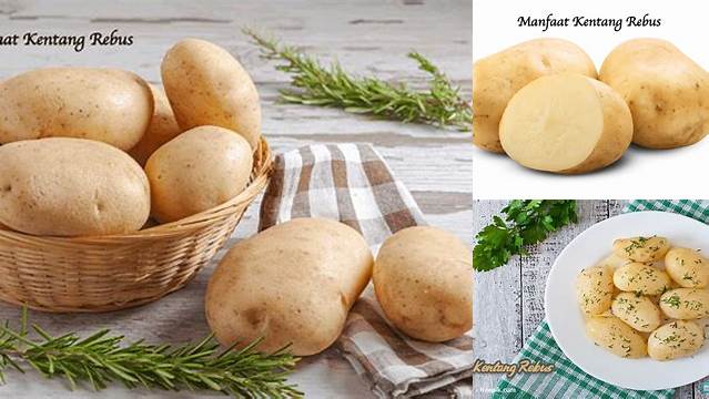 Temukan 10 Manfaat Kentang Rebus yang Jarang Diketahui Tapi Menakjubkan