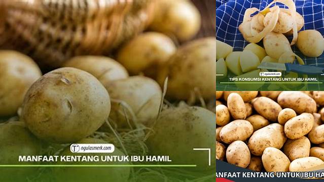 Temukan 14 Manfaat Kentang untuk Ibu Hamil yang Jarang Diketahui