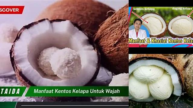 Temukan Ragam Manfaat Kentos Kelapa untuk Wajah yang Jarang Diketahui