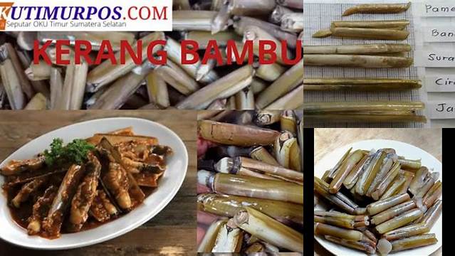 Temukan Manfaat Kerang Bambu yang Jarang Diketahui untuk Kesehatan Anda