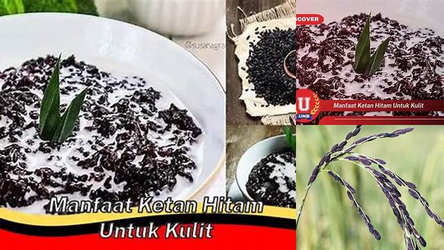 Manfaat Ketan Hitam untuk Kulit yang Menakjubkan