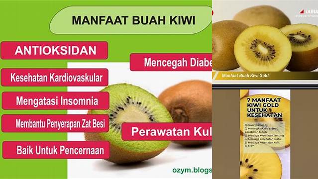 Temukan Rahasia Manfaat Kiwi Gold yang Jarang Diketahui!