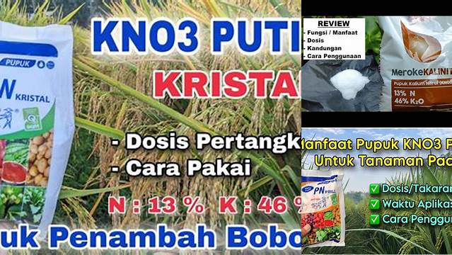 Temukan 10 Manfaat Kalium Nitrat Putih yang Jarang Diketahui