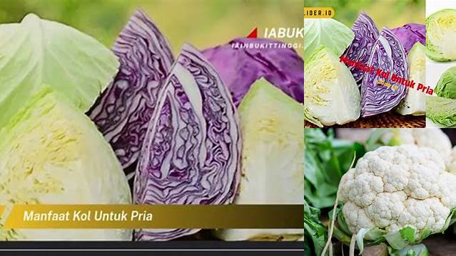 Manfaat Kol untuk Pria, Temuan Baru yang Wajib Diketahui!