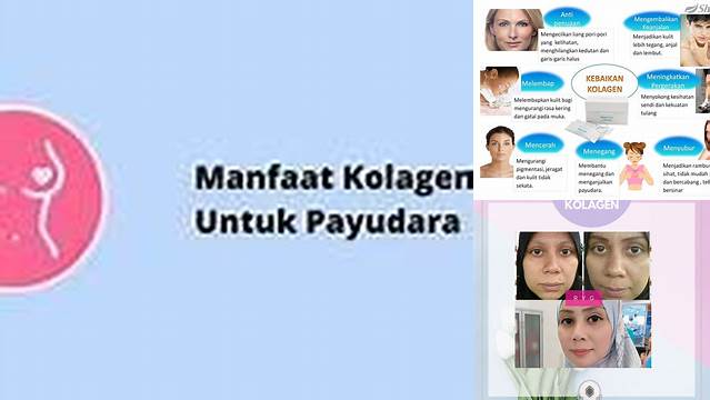 Temukan Manfaat Kolagen untuk Payudara yang Perlu Anda Tahu