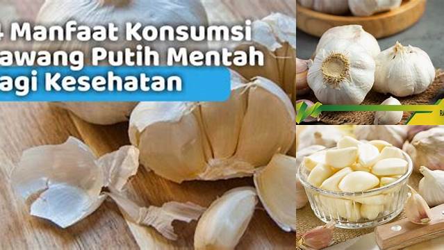 Temukan Berbagai Manfaat Konsumsi Bawang Putih Mentah yang Jarang Diketahui