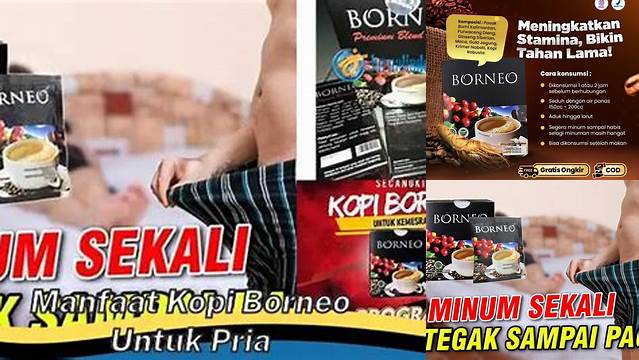 Manfaat Kopi Borneo untuk Pria: 7 Keunggulan Mengonsumsi Kopi Borneo bagi Pria Indonesia