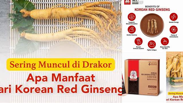 Manfaat Korean Red Ginseng yang Perlu Anda Ketahui