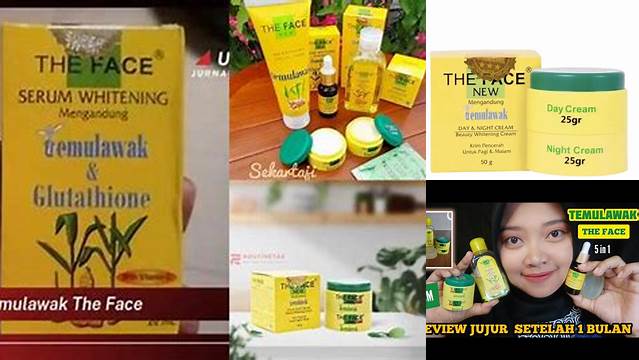 Temukan Manfaat Krim Temulawak The Face yang Jarang Diketahui