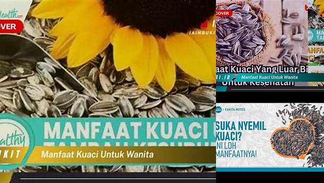 Manfaat Kuaci untuk Wanita, Penemuan dan Wawasan yang Jarang Diketahui!