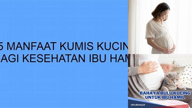 Manfaat Kucing untuk Ibu Hamil yang Tak Terduga!