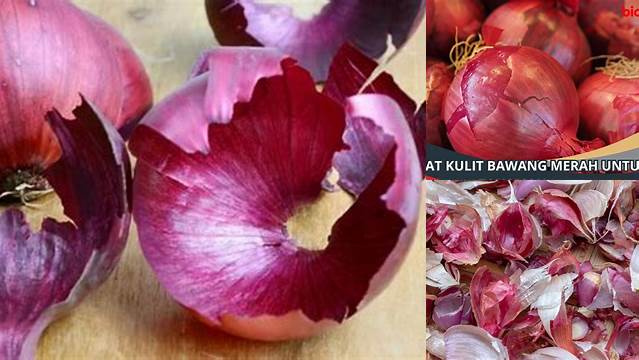Temukan Manfaat Kulit Bawang untuk Tanaman yang Jarang Diketahui