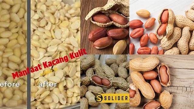 Temukan Manfaat Kulit Kacang yang Jarang Diketahui