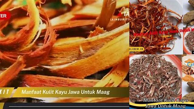 Temukan 7 Manfaat Kulit Kayu Jawa untuk Maag yang Jarang Diketahui