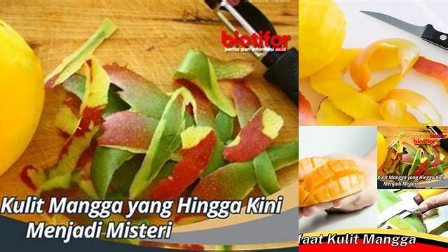 Manfaat Kulit Mangga yang Jarang Diketahui, Wajib Tahu!