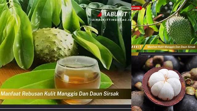 Temukan Manfaat Kulit Manggis dan Daun Sirsak yang Jarang Diketahui