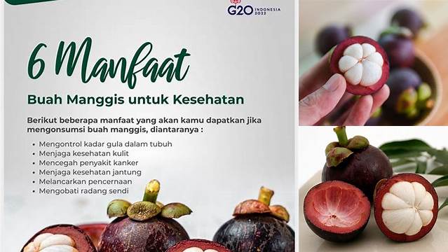 10 Manfaat Kulit Manggis, Jarang Diketahui Namun Berkhasiat