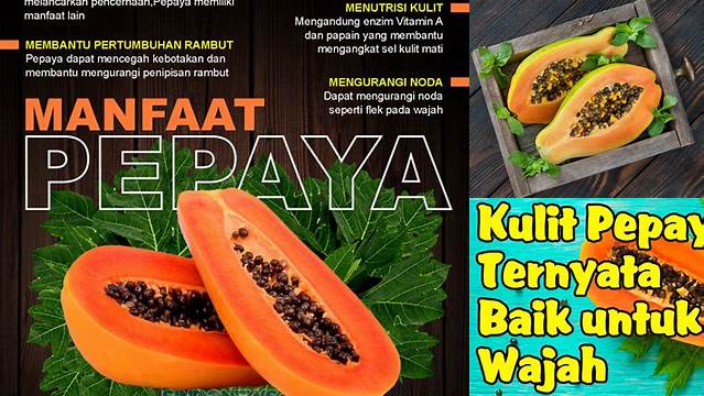 Temukan 7 Manfaat Langka Kulit Pepaya yang Jarang Diketahui