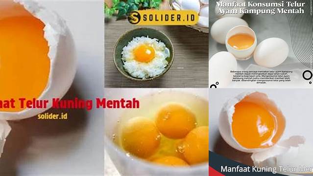 Ungkap Manfaat Kuning Telur Mentah yang Jarang Diketahui