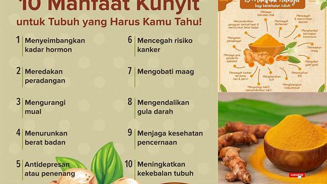 Temukan 7 Manfaat Kunyit untuk Kesehatan yang Jarang Diketahui