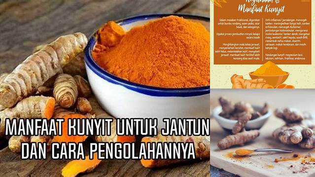 Temukan Manfaat Kunyit dan Cara Pengolahannya yang Jarang Diketahui