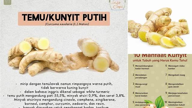 Temukan 10 Manfaat Kunyit Putih yang Belum Banyak Diketahui