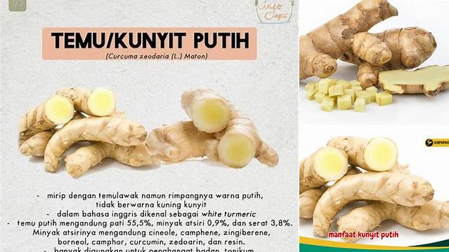 9 Manfaat Kunyit Putih untuk Kesehatan yang Mengejutkan Anda