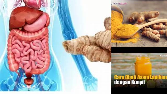 Ungkap Manfaat Kunyit untuk Lambung dan Usus yang Jarang Diketahui