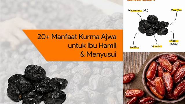 Temukan Khasiat Kurma Ajwa Ibu Hamil yang Jarang Diketahui