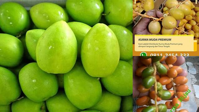Temukan Manfaat Kurma Hijau yang Jarang Diketahui, Wajib Anda Ketahui