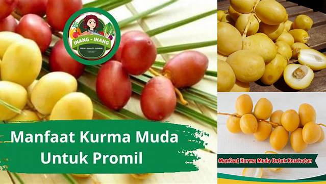 5 Manfaat Kurma Muda Tak Terduga yang Wajib Anda Ketahui