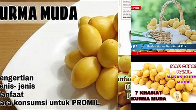 Manfaat Kurma Muda Untuk Pria: Temukan Khasiatnya yang Jarang Diketahui