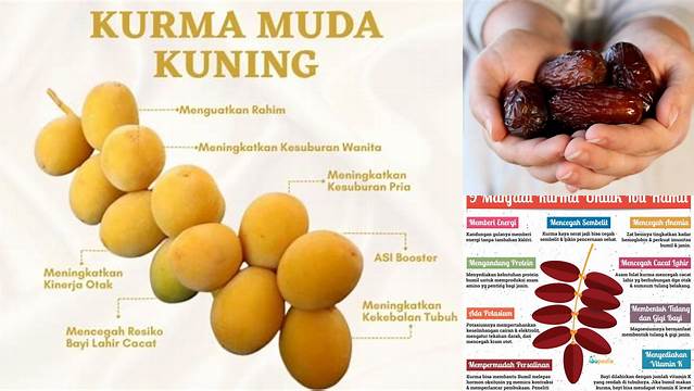 9 Manfaat Kurma untuk Ibu Hamil yang Jarang Diketahui