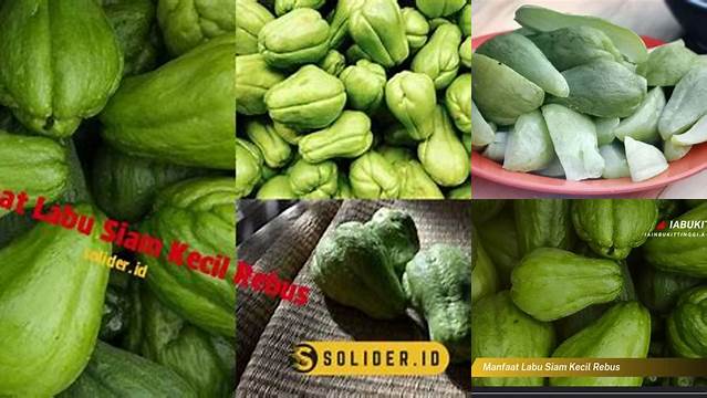Manfaat Labu Siam Kecil Rebus yang Tak Terduga