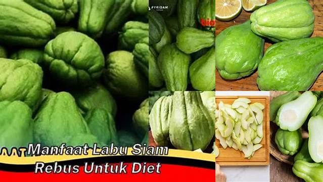 Temukan Manfaat Labu Siam Rebus untuk Diet yang Jarang Diketahui