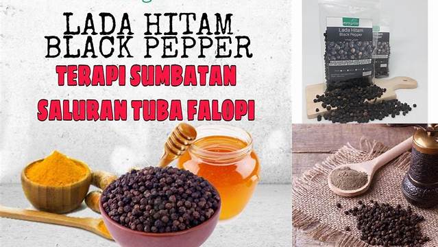 Temukan Khasiat Lada Hitam untuk Rahim yang Jarang Diketahui