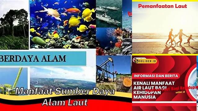 Temukan Manfaat Laut Bagi Sumber Daya yang Jarang Diketahui